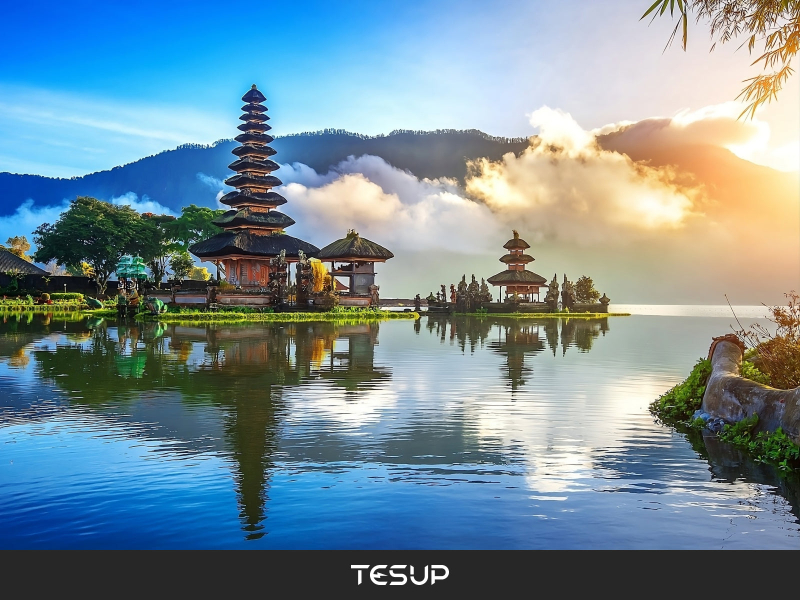 Unlocking Paradise: Wekraft's Bali Extravaganza - A Gift for Our Exceptional Team!