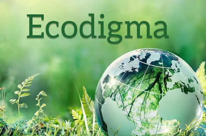 Dutch company Ecodigma cooperates with Wekraft