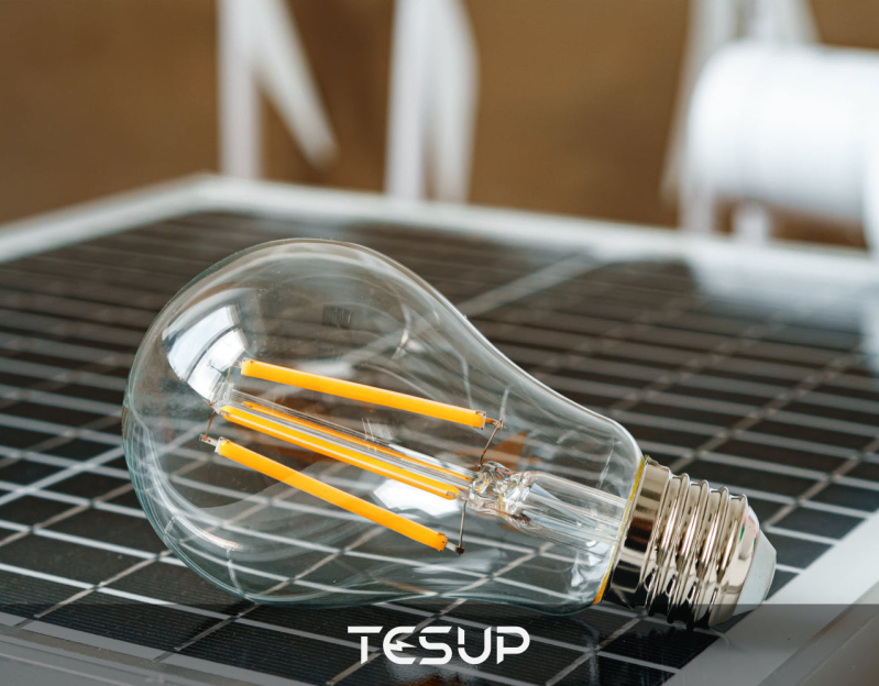 World Energy Conservation Day