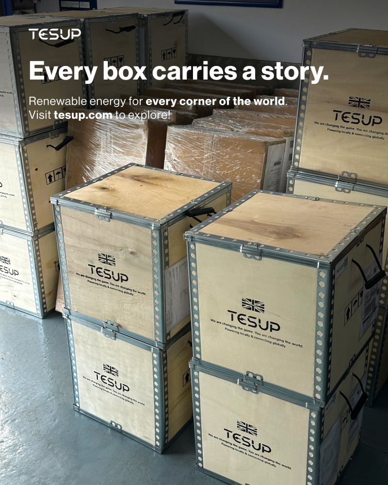 Every Box Carries a Story