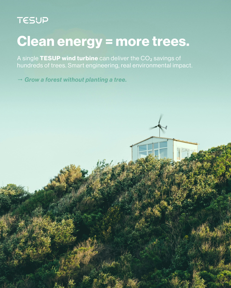 How Many Trees Is Producing Your Own Energy Equivalent To?