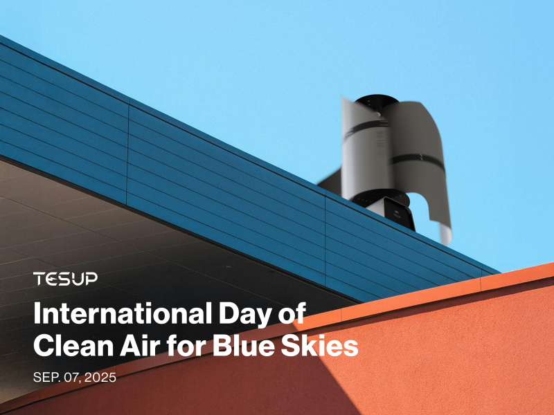 Clean Air, Blue Skies, and Renewable Energy: A Shared Mission