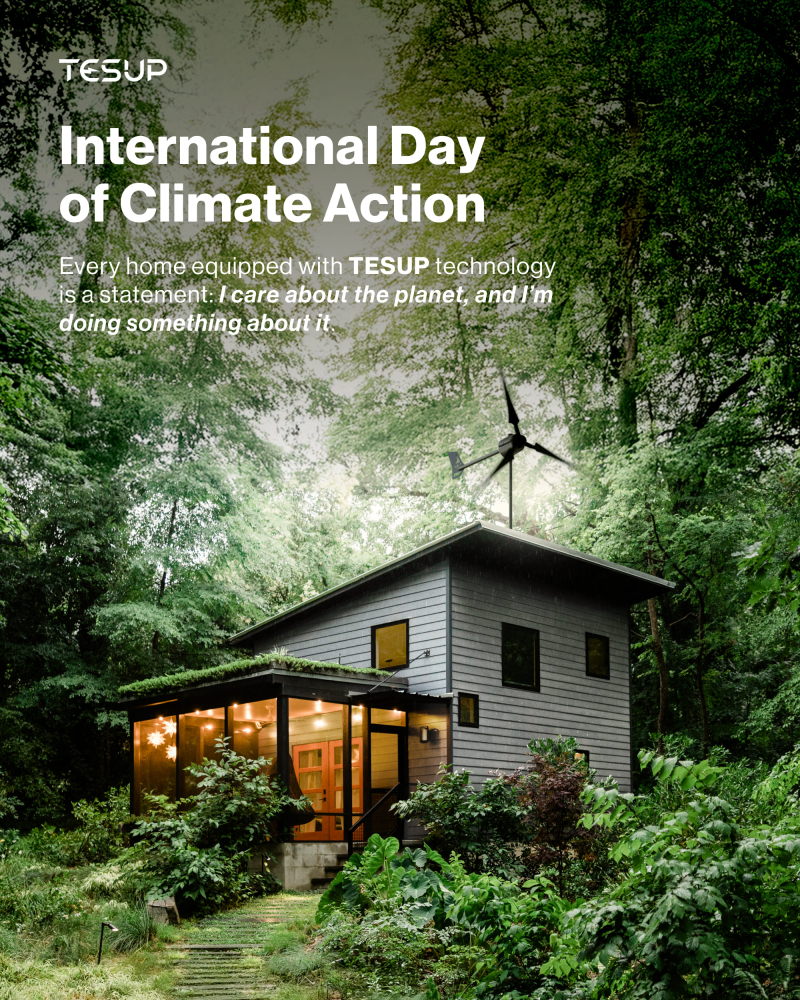 International Day of Climate Action: Together for a Greener Tomorrow