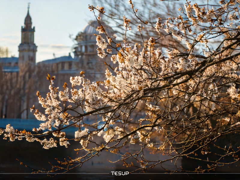 London's Unexpected Warm Spell: A Warning in Disguise