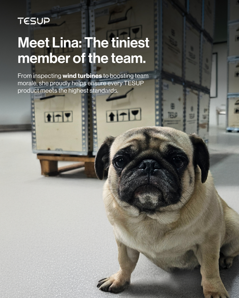Meet Lina: Wekraft’s Youngest Quality Manager