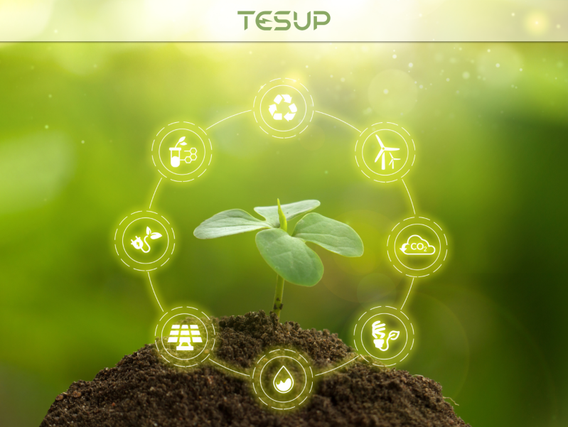 Renewable Energy Targets are Shaping our Path towards Sustainability