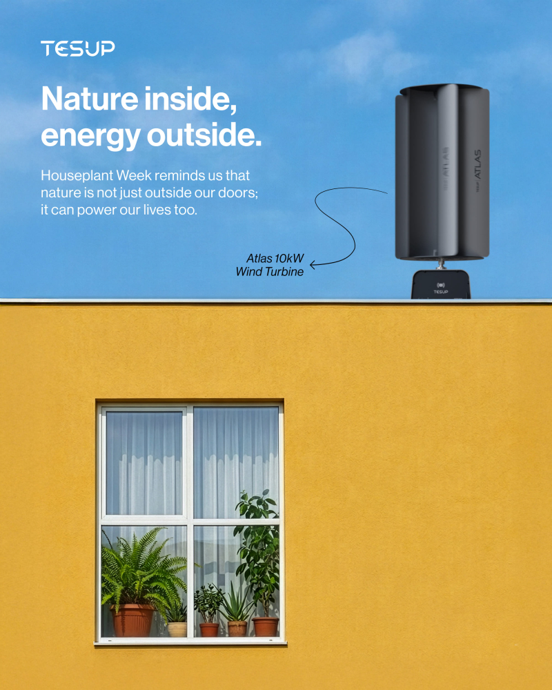 Greener Rooms, Greener Roofs, Greener Future