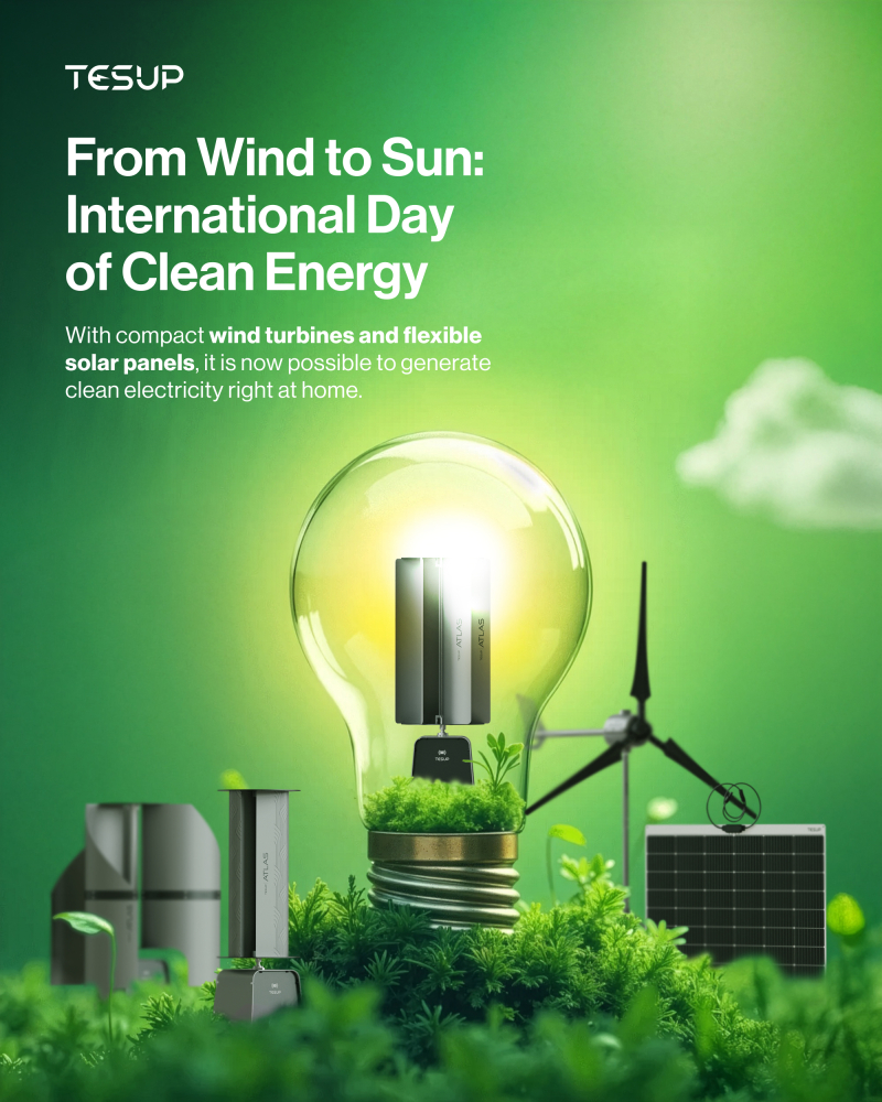 From Wind to Solar: International Day of Clean Energy