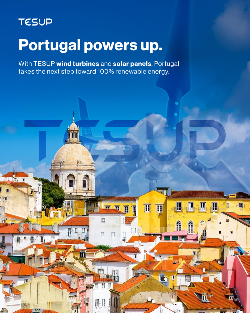 Portugal: A Rising Renewable Energy Leader