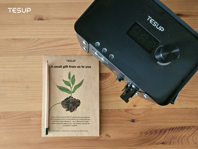 From Seeds to Solutions: Celebrating Trees with Wekraft, One Pencil at a Time