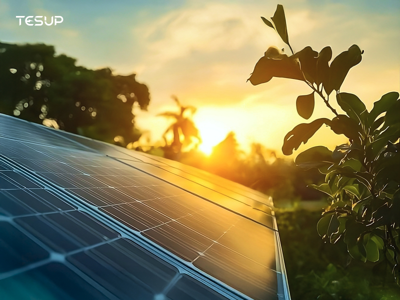 June 21st – The Longest Day of the Year: Unlocking the Full Potential of Solar Power with Wekraft