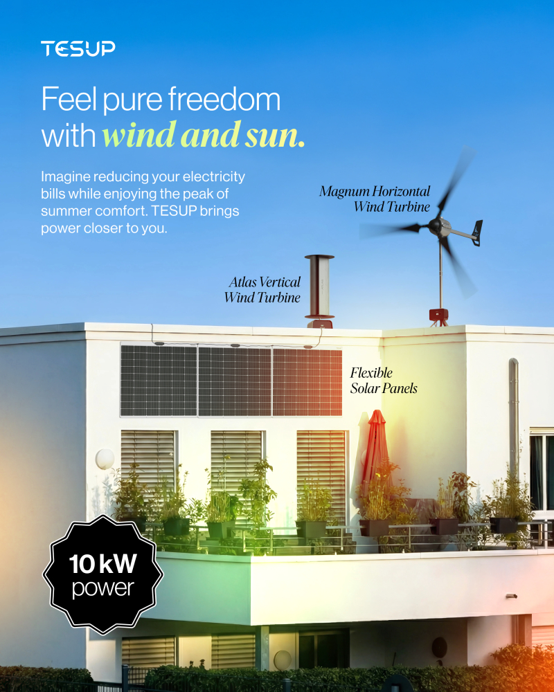 Experience Pure Freedom in Wind and Sun