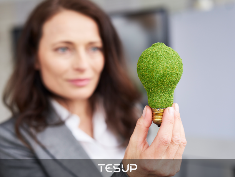 Businesses That Are Unplugged from Electricity Grids