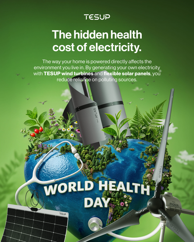 The Hidden Health Cost of Electricity