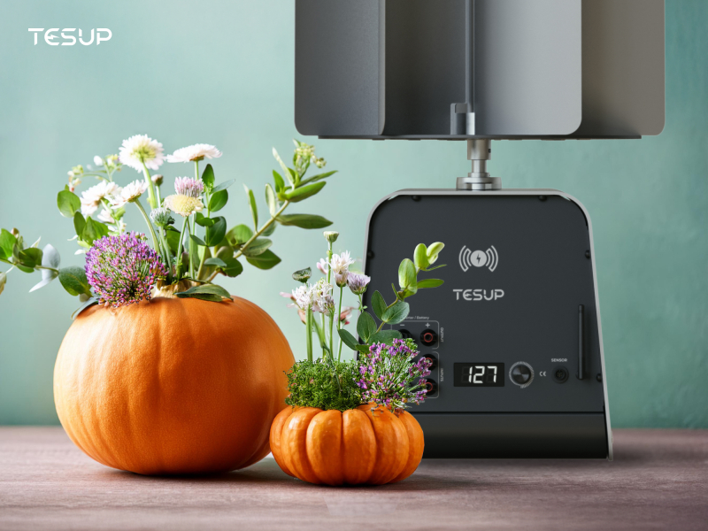 Spooky and Spectacular: Wekraft’s Halloween Celebration 2024!