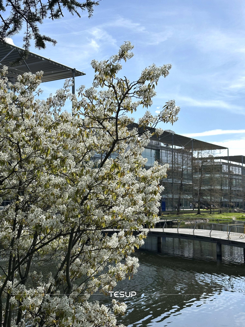 Good News from Wekraft HQ! We expand more in Slovakia