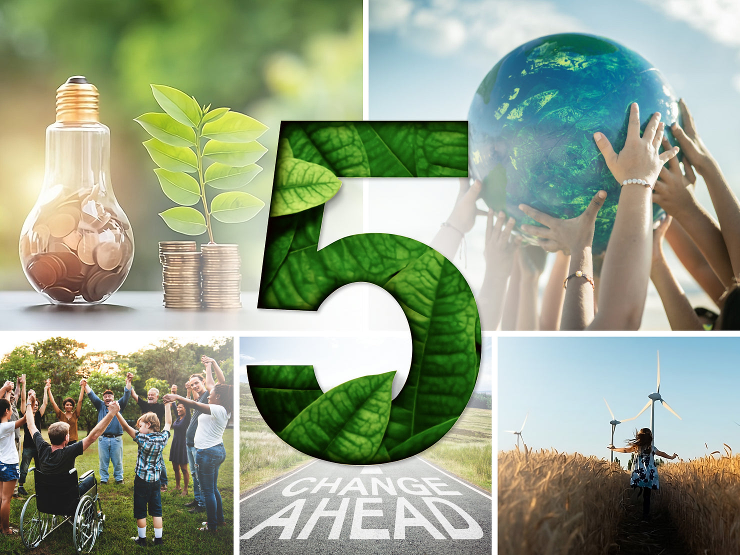 Embracing a Greener Future: 5 Reasons to Switch to Renewable Energy for Your Home