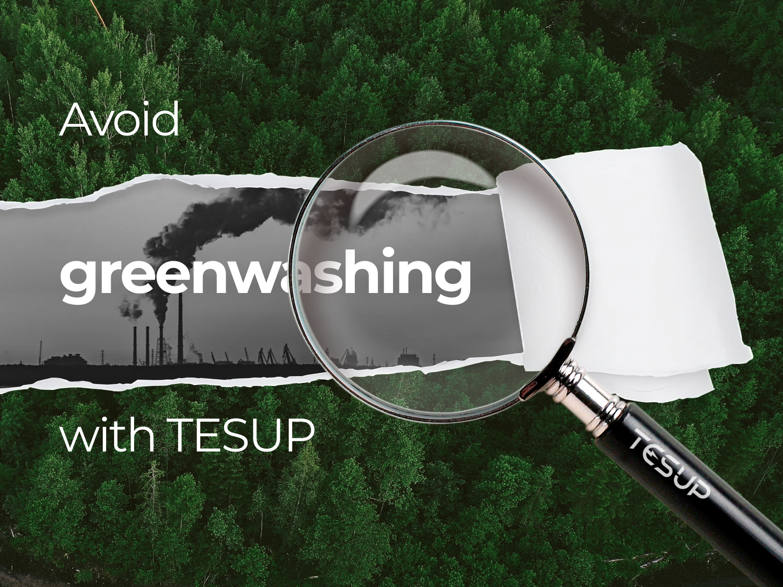 Das Greenwashing-Spiel entlarven: Ihr Weg zu authentischen umweltfreundlichen Entscheidungen