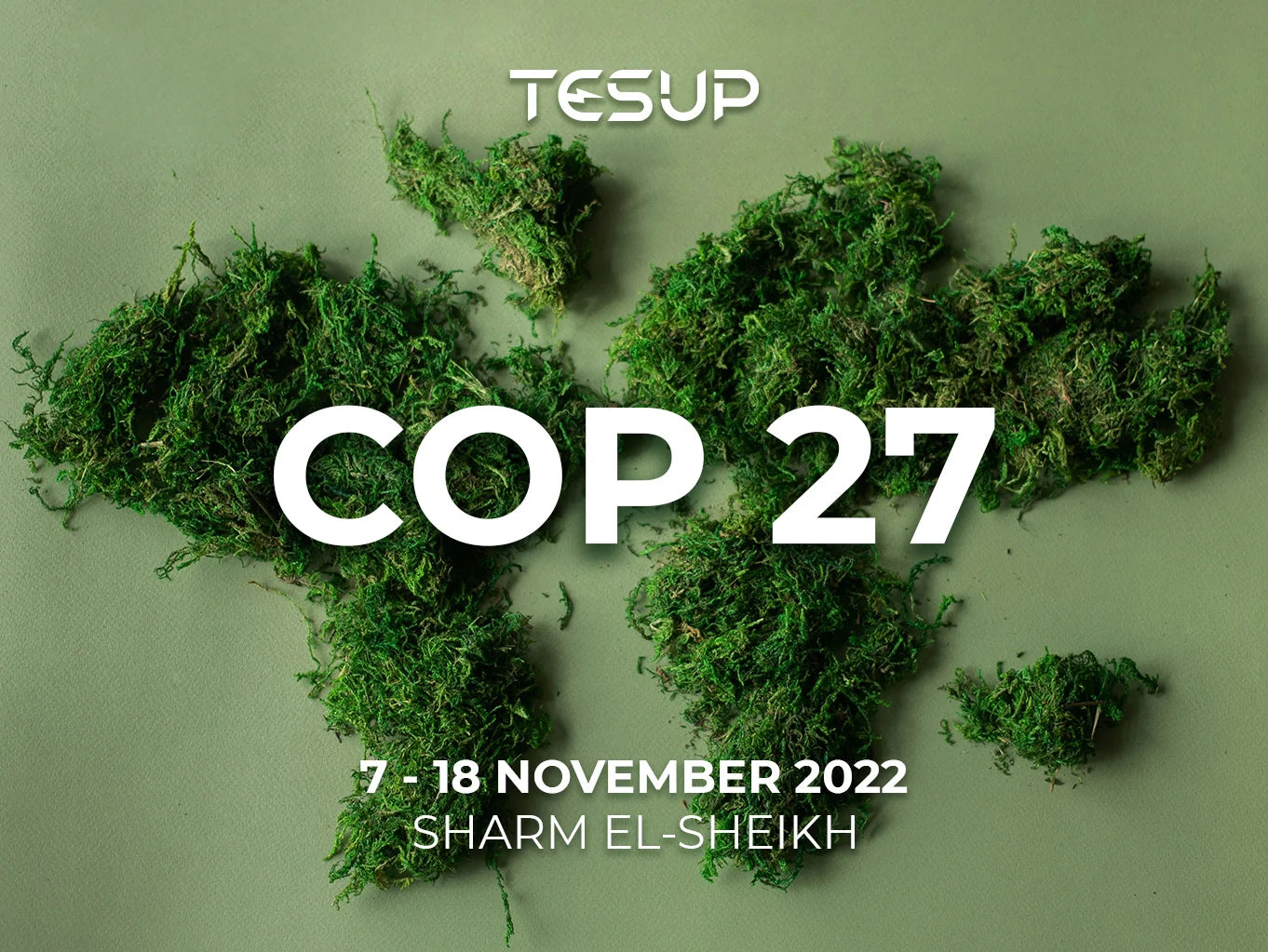 COP 27 Climate Summit