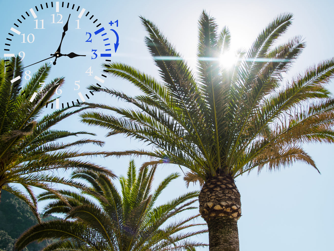 Spring Forward – Fall Back: Daylight Saving Time