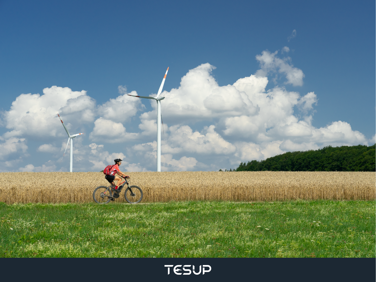 Join Us Celebrating Global Wind Day: Benefit from our Exclusive Offer