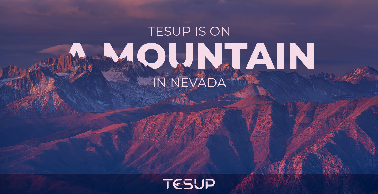 Wekraft Is Everywhere, Nevada Mountain