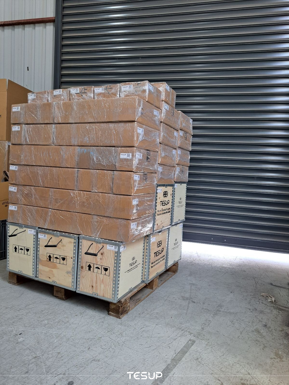 Paleta Wekraft Magnum 4