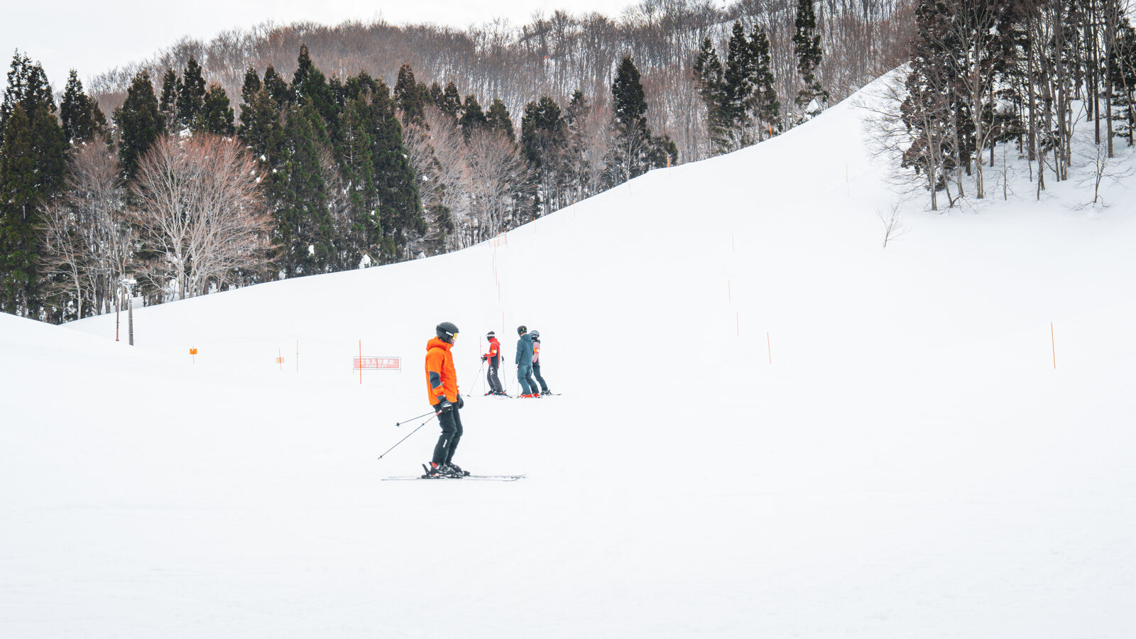 Skiërs op een besneeuwde helling bij Yuzawa in de prefectuur Niigata, met sneeuwbeladen bomen erachter