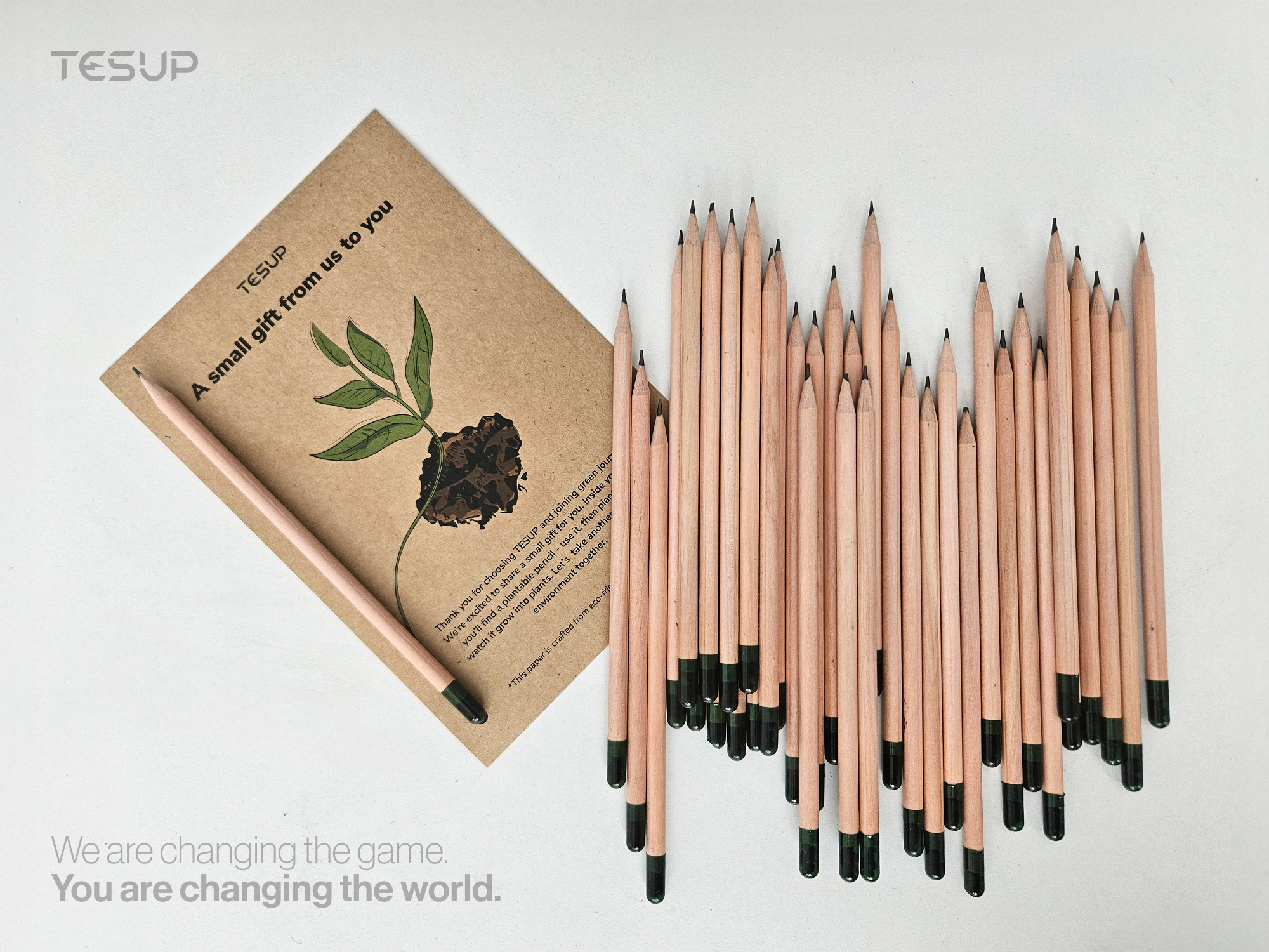 Wekraft Renewable Gift Pencils