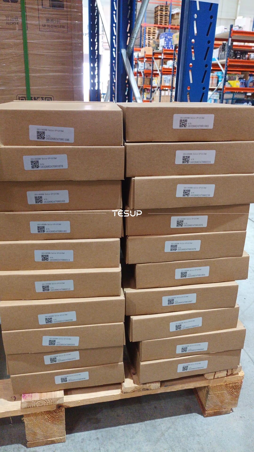 Wekraft Daily Shipments