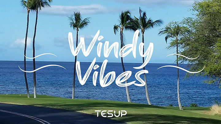 Sunny and Windy Vibes