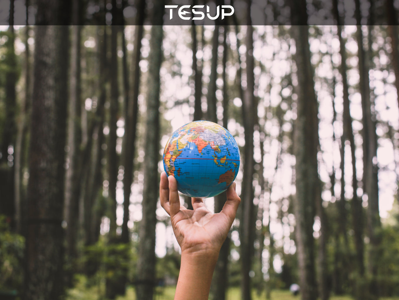 World Thinking Day: Our World, Our Thriving Future