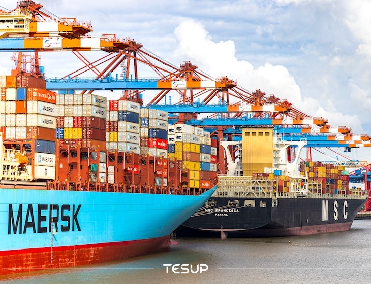 MAERSK ve MSC'nin Wekraft Rüzgar Türbinleri ve Esnek Güneş Panellerini Tercih Etme Sebepleri